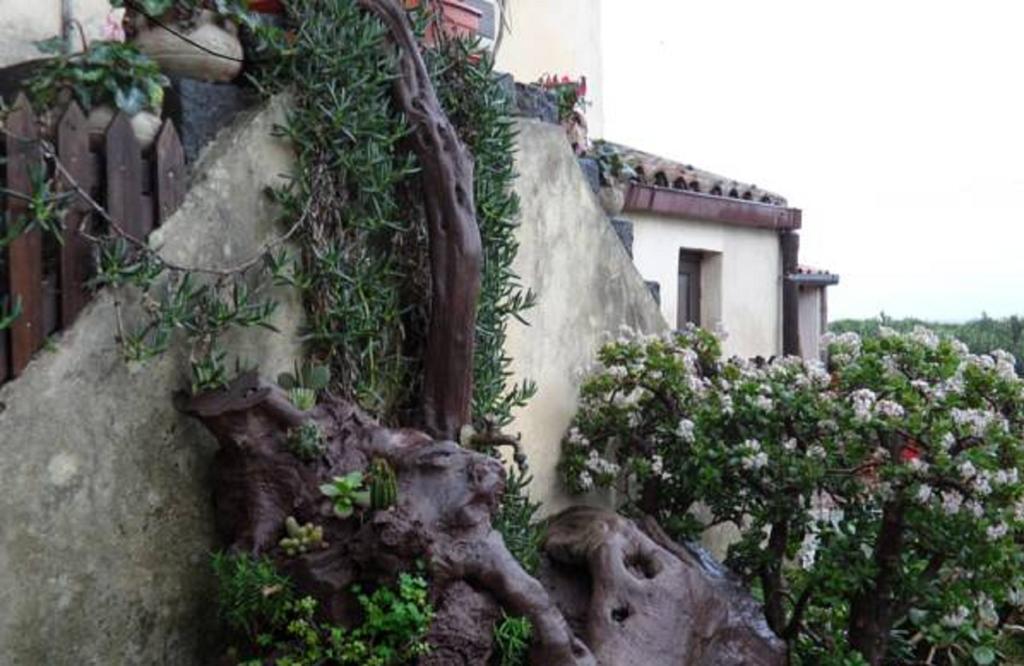 Agriturismo Ruvitello Misterbianco Oda fotoğraf